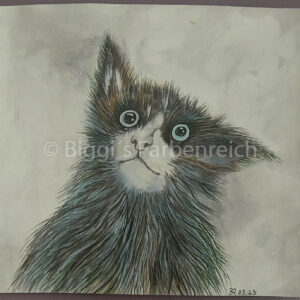 Katze nachdenklich