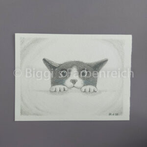 Katze schaut
