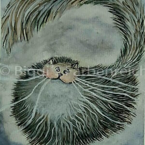 Wuschel Katze