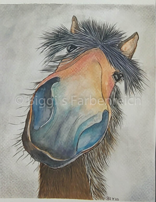 Pferd von Festus